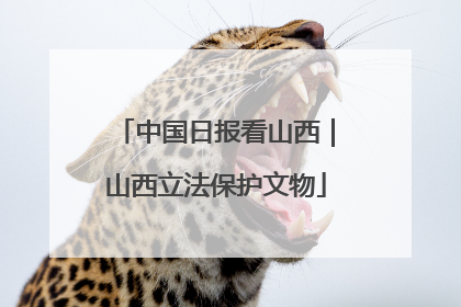 中国日报看山西｜山西立法保护文物