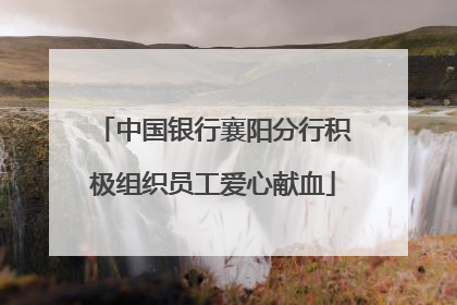 中国银行襄阳分行积极组织员工爱心献血