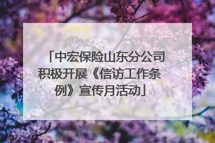 中宏保险山东分公司积极开展《信访工作条例》宣传月活动