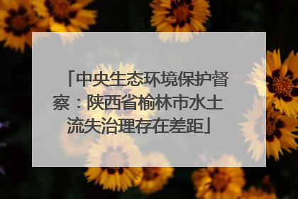 中央生态环境保护督察：陕西省榆林市水土流失治理存在差距