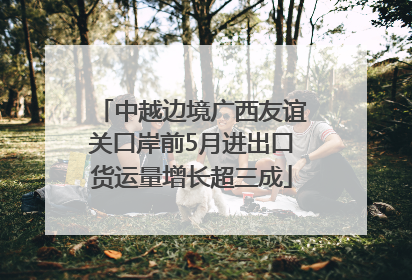 中越边境广西友谊关口岸前5月进出口货运量增长超三成