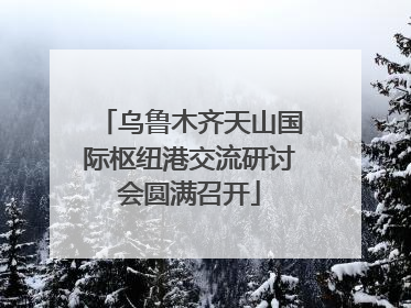 乌鲁木齐天山国际枢纽港交流研讨会圆满召开