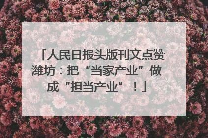 人民日报头版刊文点赞潍坊：把“当家产业”做成“担当产业”！