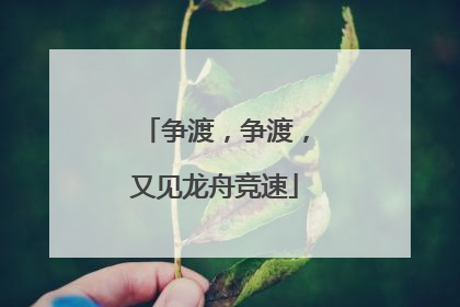 争渡，争渡，又见龙舟竞速