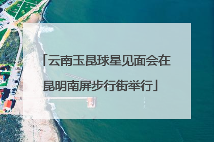 云南玉昆球星见面会在昆明南屏步行街举行