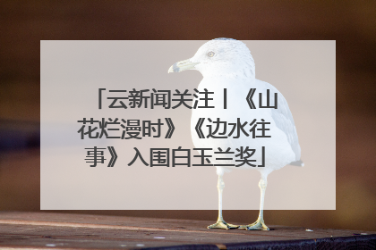 云新闻关注丨《山花烂漫时》《边水往事》入围白玉兰奖