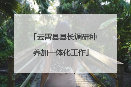 云霄县县长调研种养加一体化工作