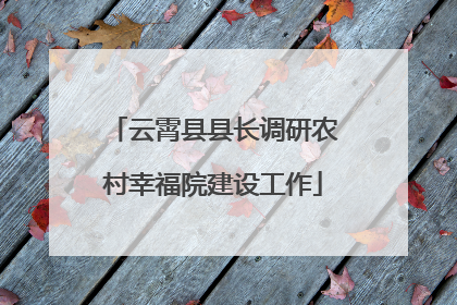 云霄县县长调研农村幸福院建设工作