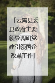 云霄县委县政府主要领导调研党建引领国企改革工作