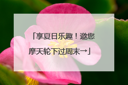 享夏日乐趣！邀您摩天轮下过周末→