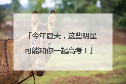 今年夏天，这些明星可能和你一起高考！