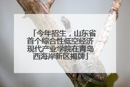 今年招生，山东省首个综合性低空经济现代产业学院在青岛西海岸新区揭牌