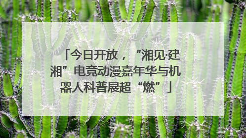 今日开放，“湘见·建湘”电竞动漫嘉年华与机器人科普展超“燃”