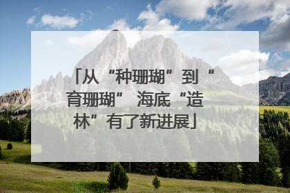 从“种珊瑚”到“育珊瑚” 海底“造林”有了新进展