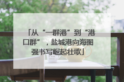 从“一群港”到“港口群”，盐城港向海图强书写崛起壮歌