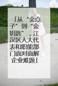 从“金点子”到“金钥匙”，江汉区人大代表和职能部门面对面解企业难题