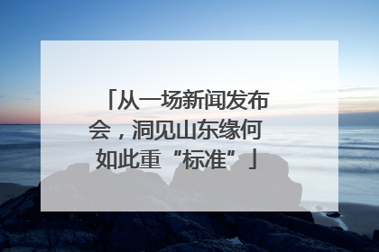 从一场新闻发布会，洞见山东缘何如此重“标准”