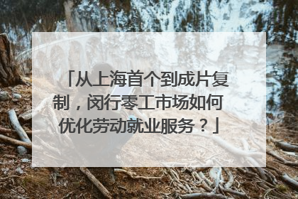 从上海首个到成片复制，闵行零工市场如何优化劳动就业服务？