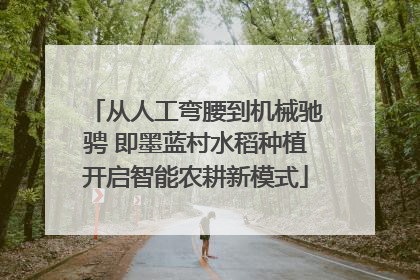 从人工弯腰到机械驰骋 即墨蓝村水稻种植开启智能农耕新模式