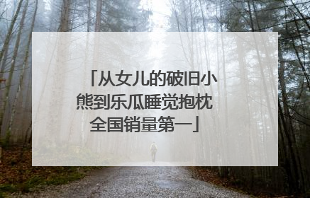 从女儿的破旧小熊到乐瓜睡觉抱枕全国销量第一