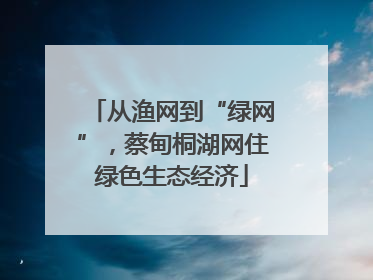 从渔网到“绿网”，蔡甸桐湖网住绿色生态经济
