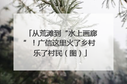 从荒滩到“水上画廊”！广信这里火了乡村 乐了村民（图）