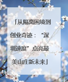 从隔离困境到创业奇迹：“深圳速度”点亮最美山庄新未来
