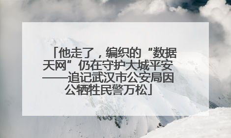 他走了，编织的“数据天网”仍在守护大城平安——追记武汉市公安局因公牺牲民警万松
