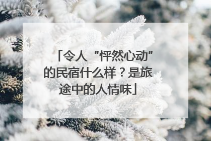 令人“怦然心动”的民宿什么样？是旅途中的人情味
