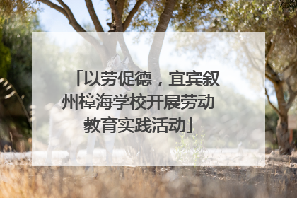 以劳促德，宜宾叙州樟海学校开展劳动教育实践活动