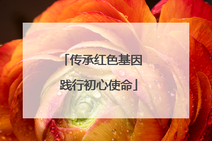 传承红色基因 践行初心使命