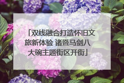 双线融合打造怀旧文旅新体验 诸暨马剑八大碗主题街区开街