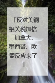 反对美钢铝关税加倍 加拿大、墨西哥、欧盟反应来了
