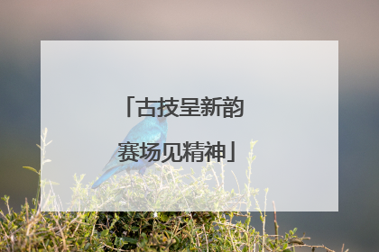 古技呈新韵 赛场见精神