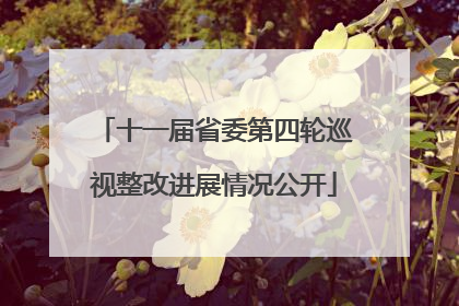 十一届省委第四轮巡视整改进展情况公开