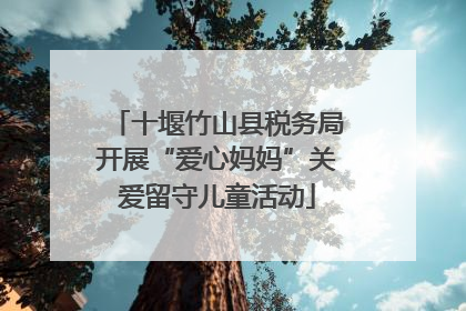 十堰竹山县税务局开展“爱心妈妈”关爱留守儿童活动