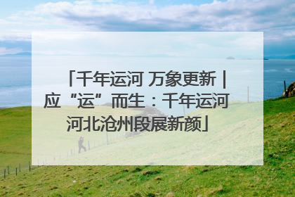 千年运河 万象更新｜应“运”而生：千年运河河北沧州段展新颜