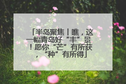 半岛聚焦丨瞧，这一幅青岛好“丰”景！愿你“芒”有所获，“种”有所得