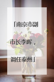 南京市副市长李晖，调任泰州
