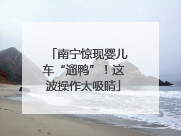 南宁惊现婴儿车“遛鸭”！这波操作太吸睛