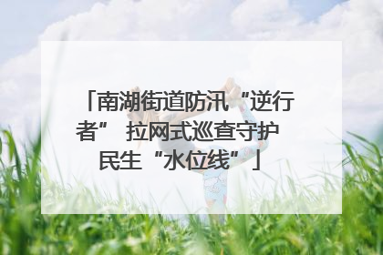 南湖街道防汛“逆行者” 拉网式巡查守护民生“水位线”