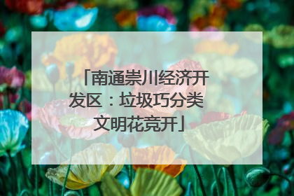 南通崇川经济开发区：垃圾巧分类 文明花竞开