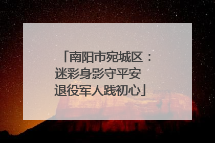南阳市宛城区：迷彩身影守平安 退役军人践初心