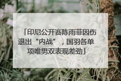 印尼公开赛陈雨菲因伤退出“内战”，国羽各单项唯男双表现差劲