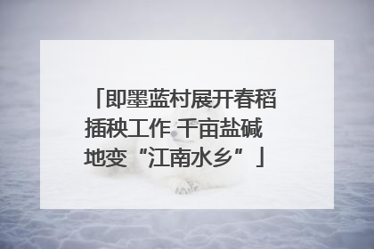 即墨蓝村展开春稻插秧工作 千亩盐碱地变“江南水乡”