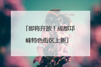 即将开放！成都邛崃特色街区上新