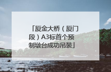 厦金大桥（厦门段）A3标首个预制墩台成功吊装