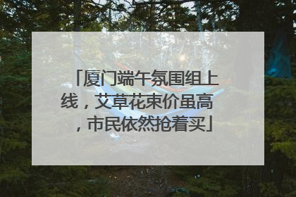 厦门端午氛围组上线，艾草花束价虽高，市民依然抢着买