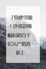 党建引领！沙漠边缘崛起超百个亿元产值连队