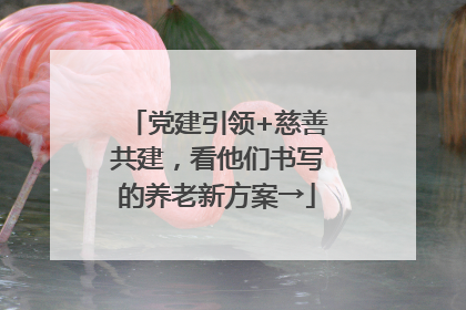 党建引领+慈善共建，看他们书写的养老新方案→